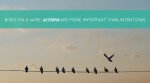 Birds on a Wire: Actions are More Important Than Intentions