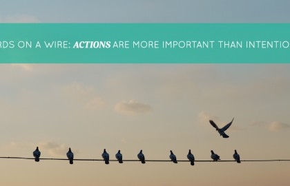 Birds on a Wire: Actions are More Important Than Intentions