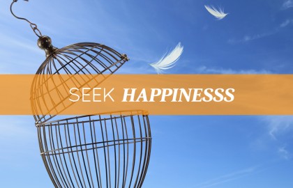 Seek Happiness