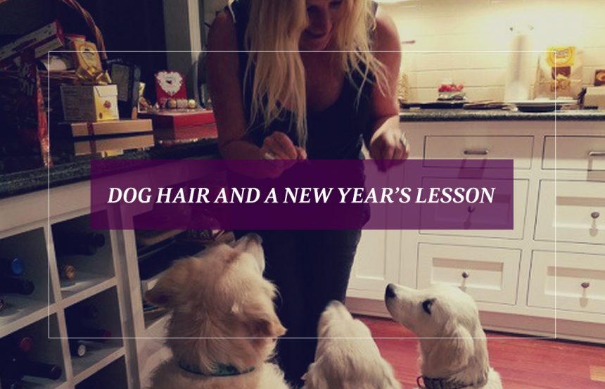 Dog Hair and a New Year’s Lesson