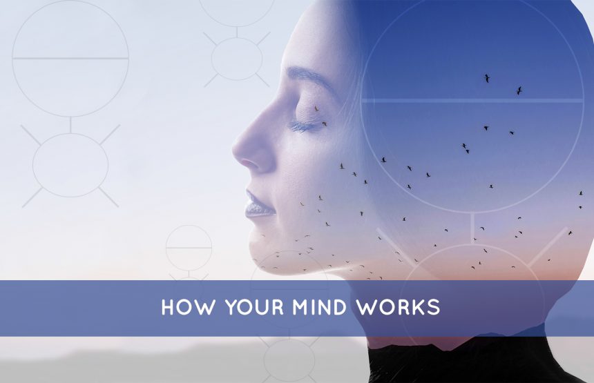 How Your Mind Works