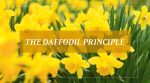 The Daffodil Principle