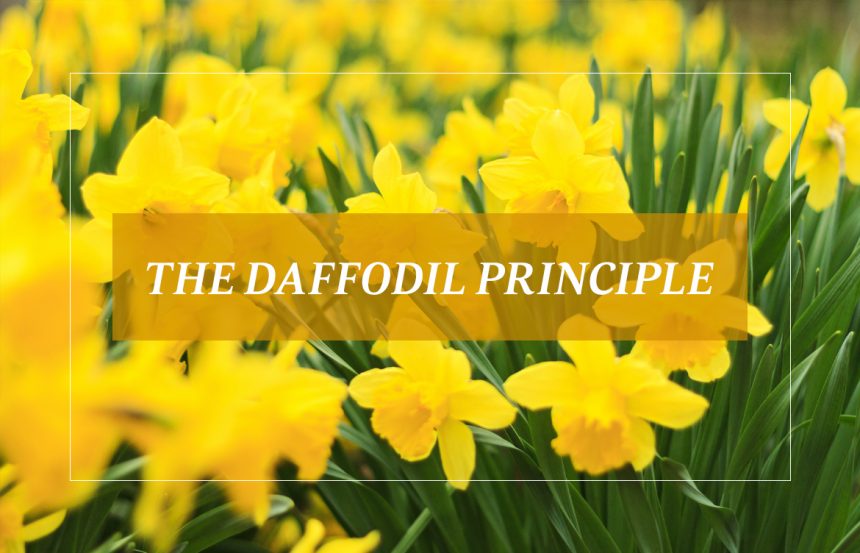 The Daffodil Principle