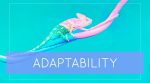 Adaptability