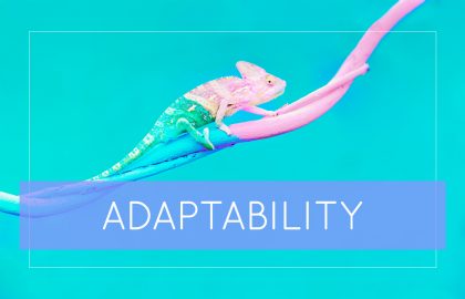 Adaptability