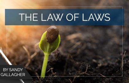 The Law of Laws