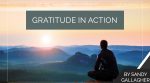 Gratitude In Action