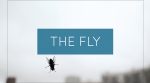 The Fly